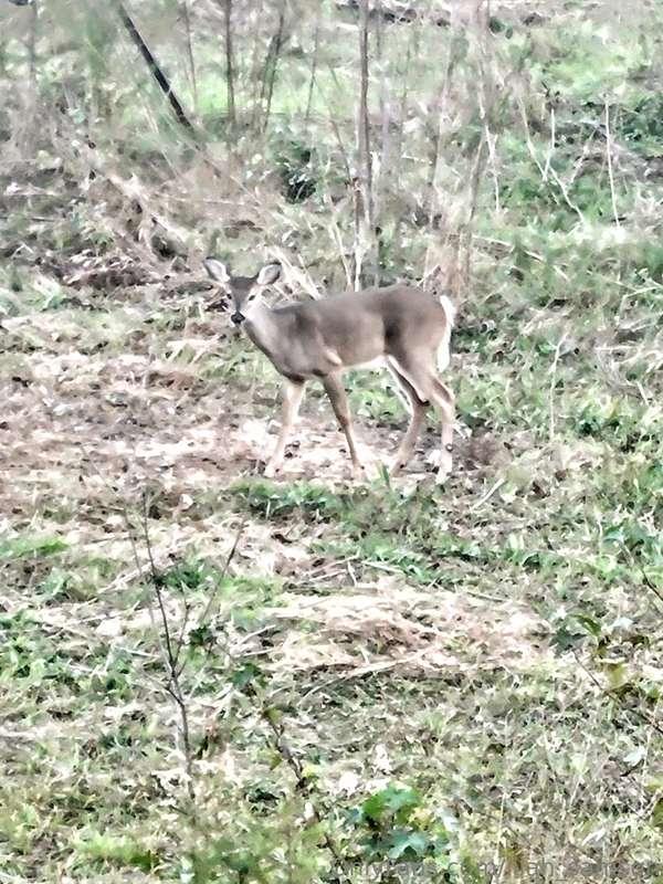 Seasons on 💪🖤😍Lets see if i can fill the freezer this year🦌