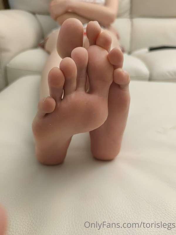 torislegs image #1