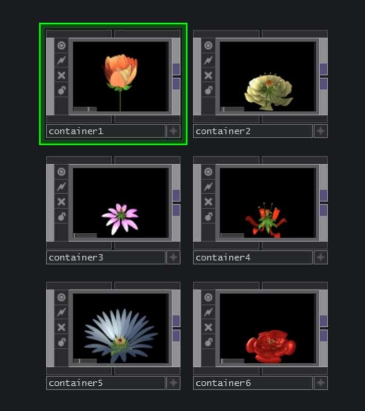 Td flower_generative flower 