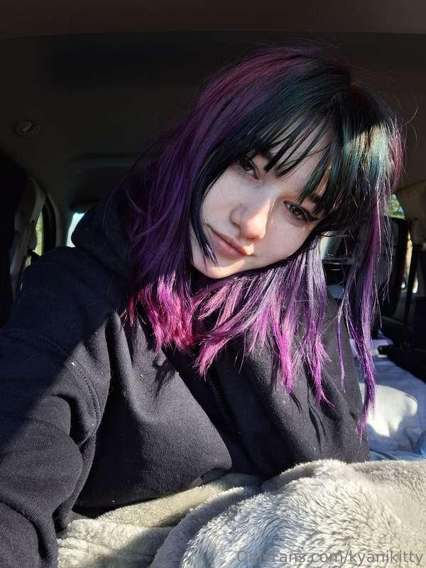 kyanikitty main image