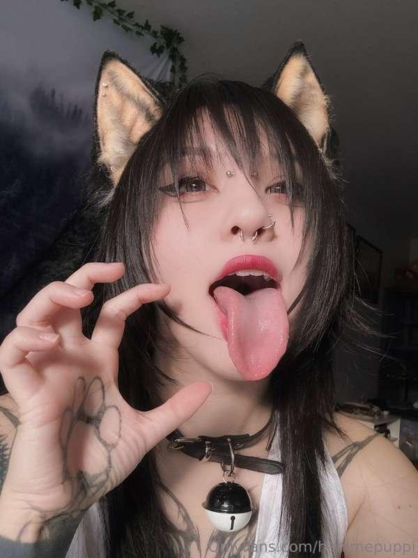 hanimepuppi image #1