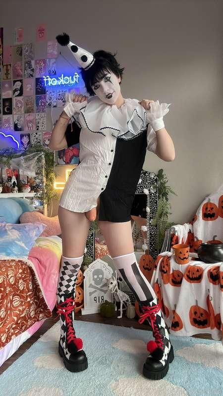 indigowhite image #32