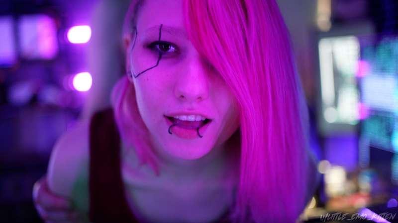 little_emo_kitten image #18
