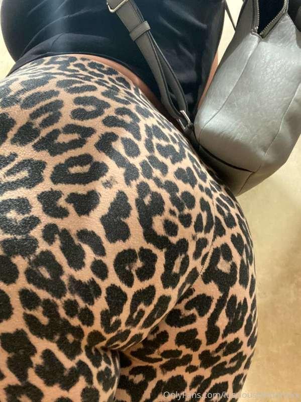 Ass! Wild kingdom style 🐆