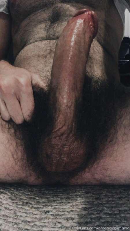 Honestly, who’s got a better cock?