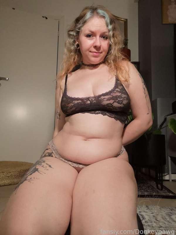 donkeypawg image #19