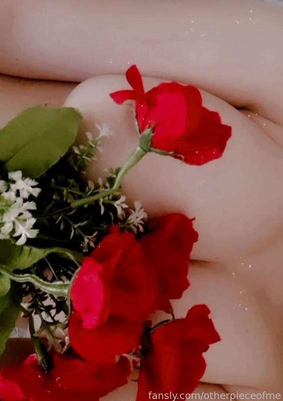 otherpieceofme image #5