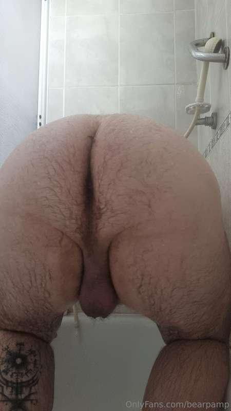 bearpamp image #1