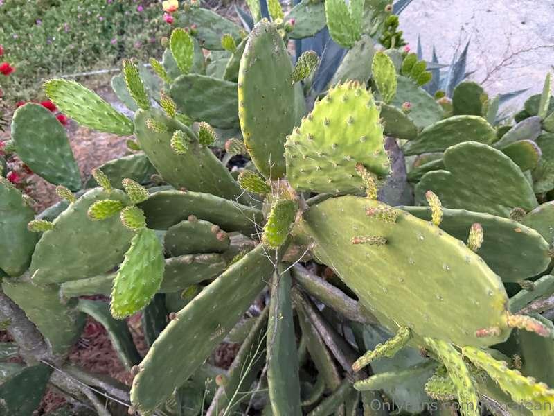 some pics from today and yesterday evening in LA. we did 5 h..