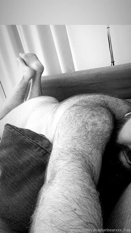 More on onlyfans.com/canadianbearxxx (50% off)