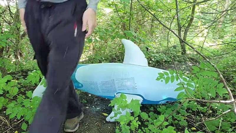 Stray toy