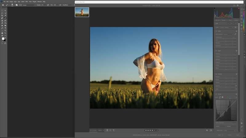Dominika - Fields :Edit Session 3