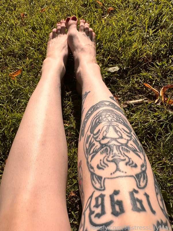 mistresslilymay image #3