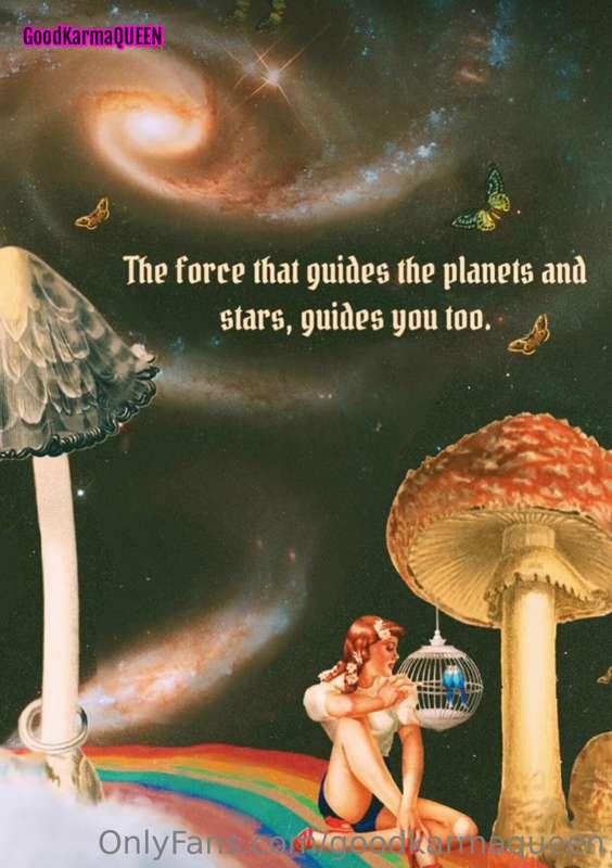 Have a GA-GA-Gorgeous day‼️‼️‼️ 

#divineguidance

xo