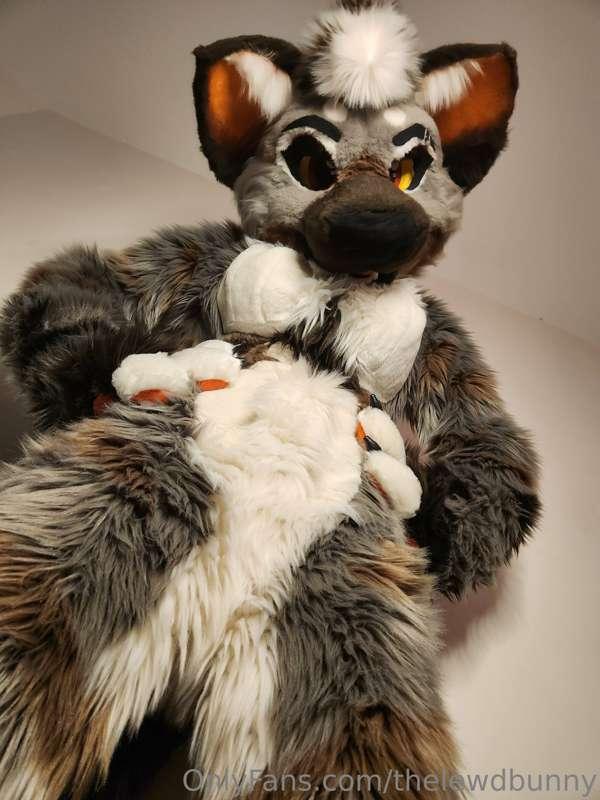 ad_rutt image #10