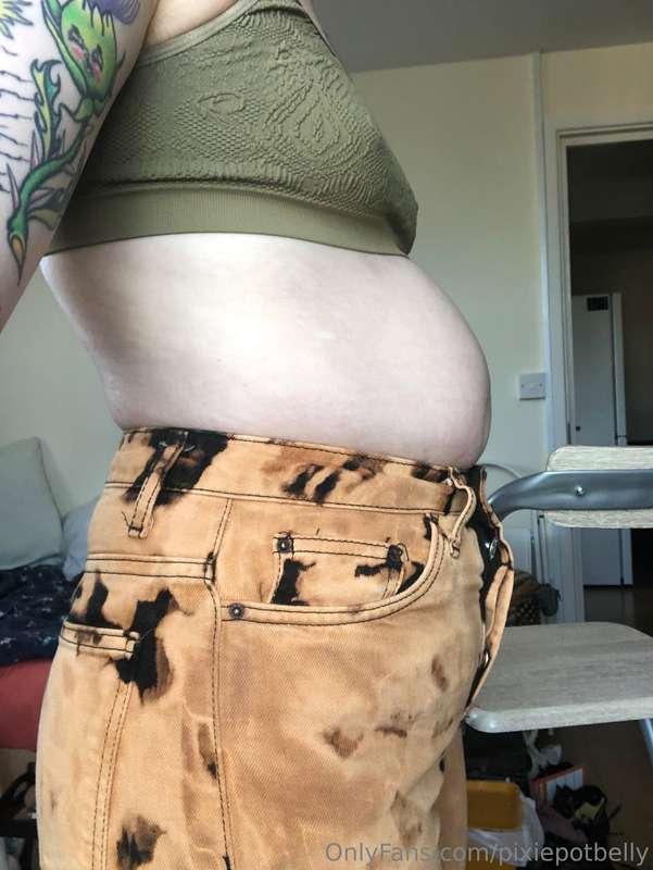 pixiepotbelly image #1