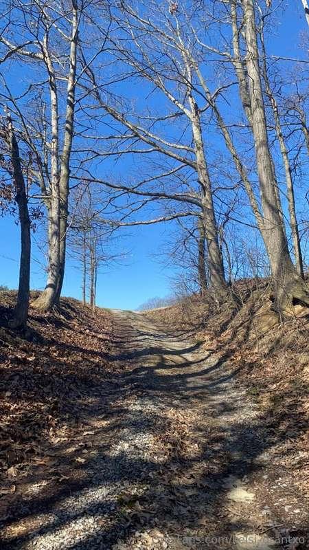 It was a beautiful day for a walk ♥ My Mastiff kept me compa..