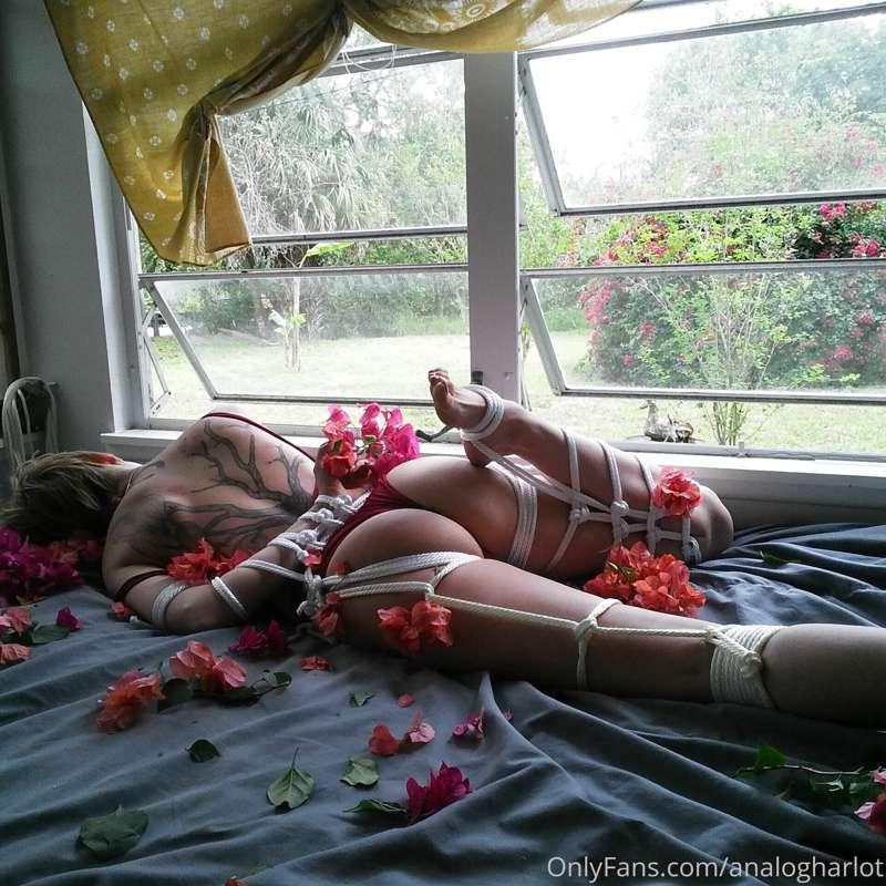 Tie me up like one of your French girls?