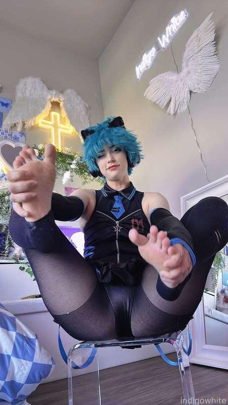 indigowhite image #118