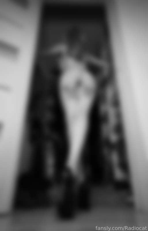 radiocat image #4
