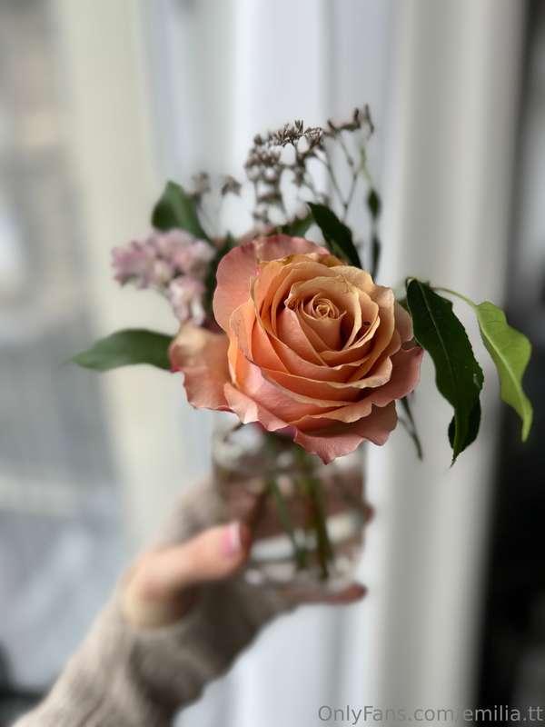 I truly believe that every home should have fresh flowers… 🌸..