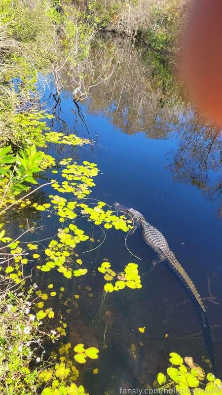 holisticsensual image #3