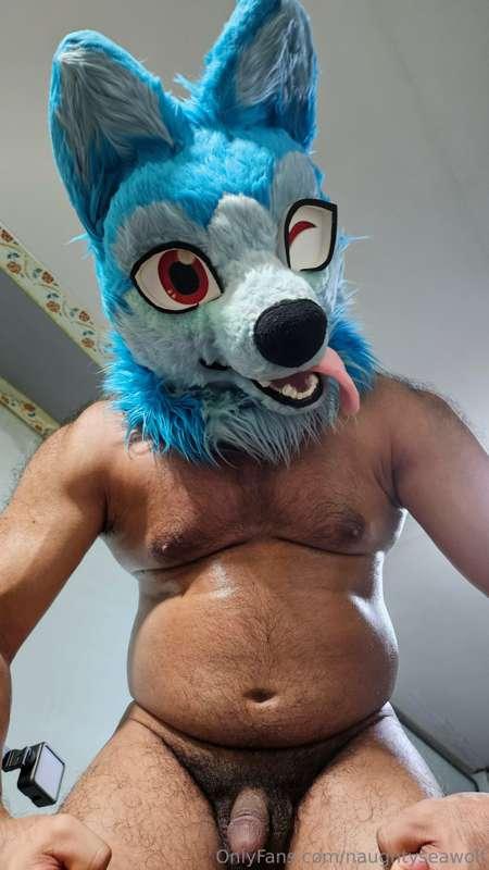 naughtyseawolf image #0