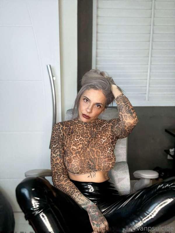 Meow 
