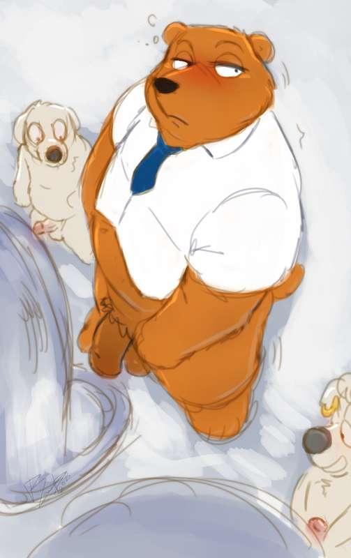 Tim the Bear 