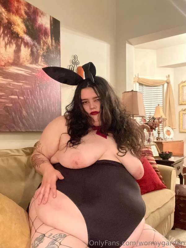 wormygarden image #21