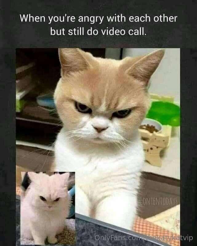 Meme of the Day!