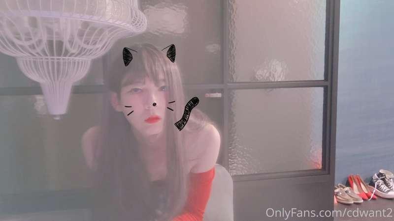 cdwant2 image #1