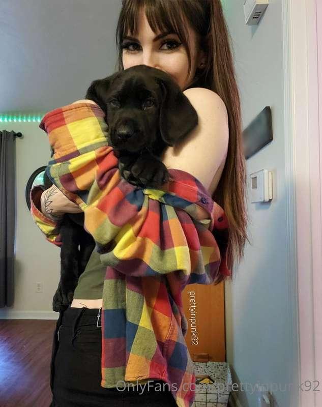 You can thank this adorable monster for any delayed response..