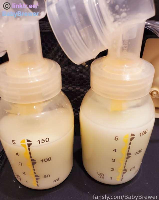 babybrewer image #1
