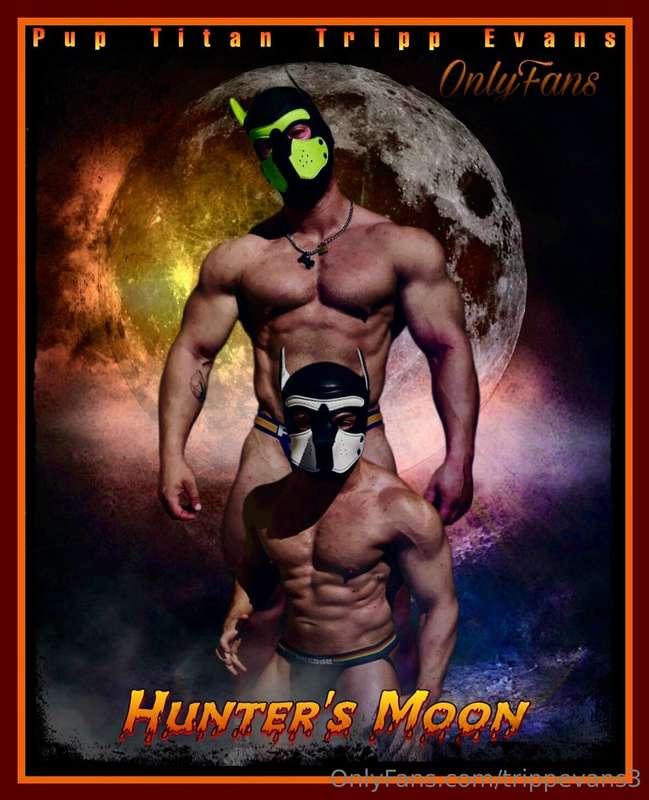 Are you guys ready for this week!? It’s gonna be a wild one!..