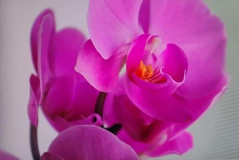Afternoon everyone thanks for being on here and being awesom..