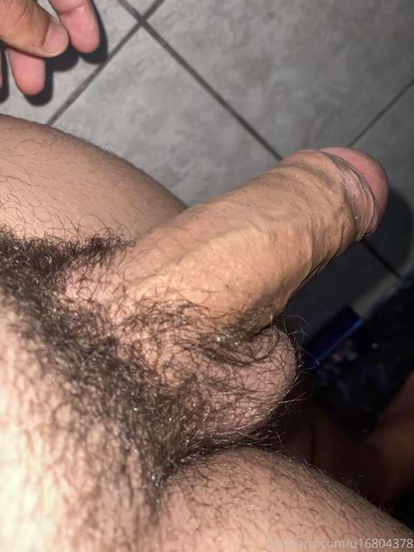 😿