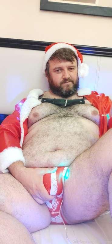 bearpamp image #2