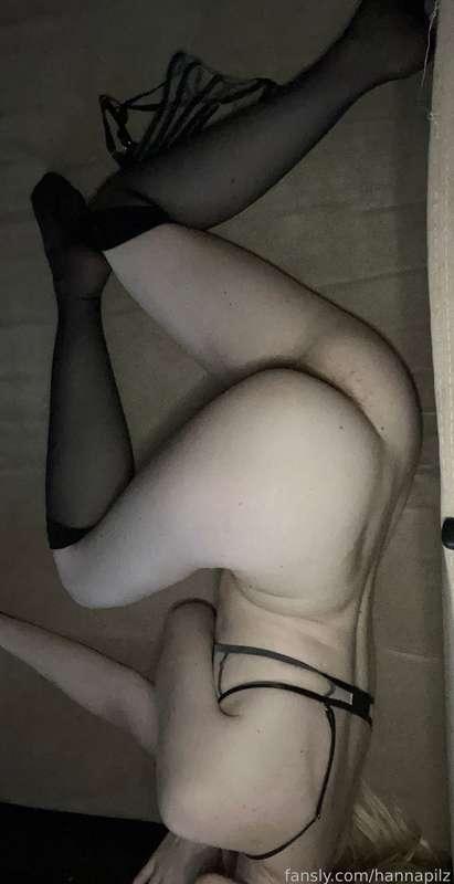 hannapilz image #2