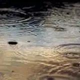 puddles4263