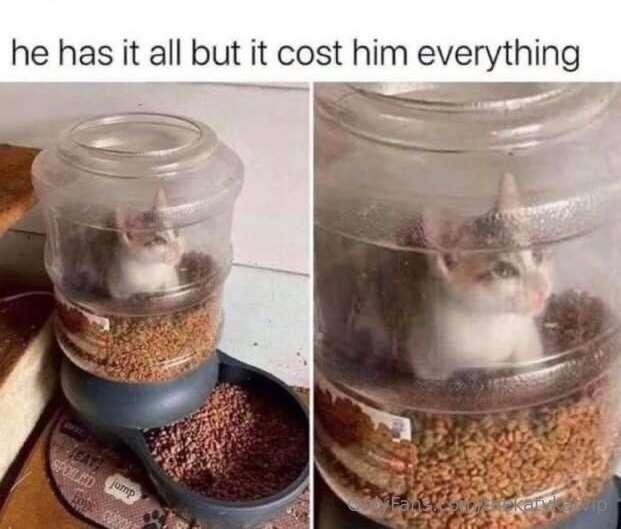 Meme of the Day!