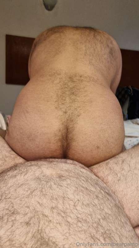 bearpamp image #1