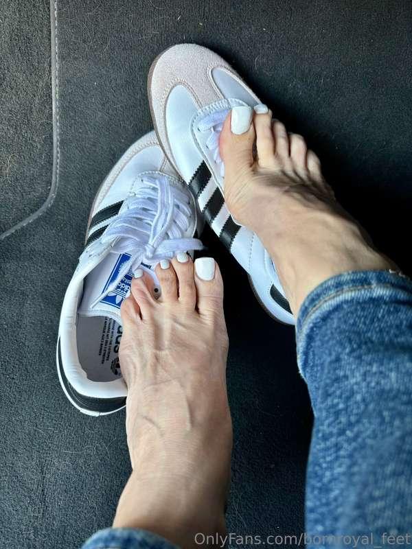 Stinky feet. Would you put in your mouth now and suck each o..