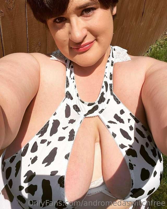 Just being cute in cow print in the sunlight 🥰