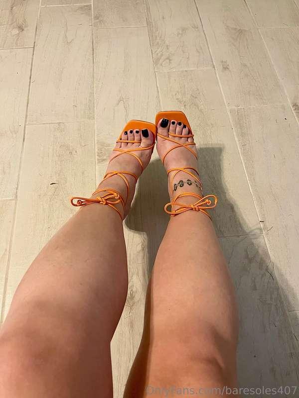 baresoles407 image #2