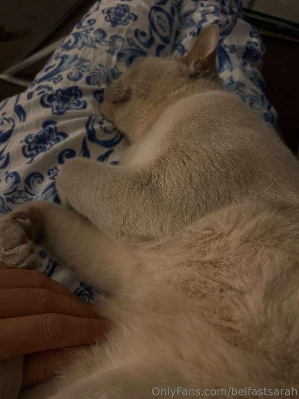 This cat… he’s my world😭