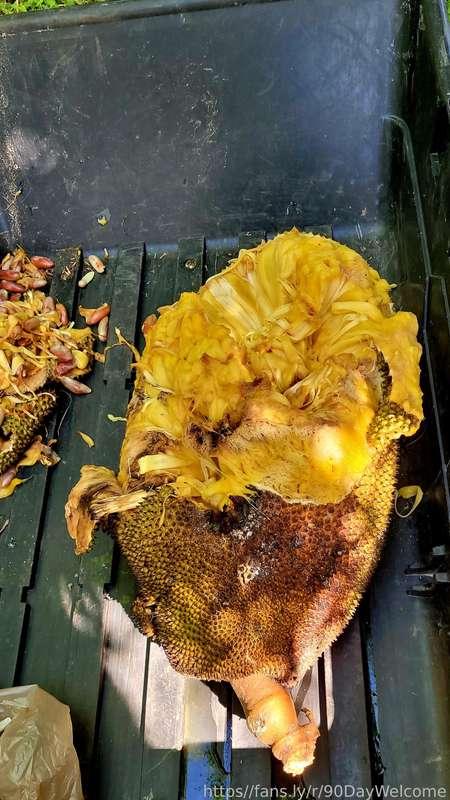 holisticsensual image #1