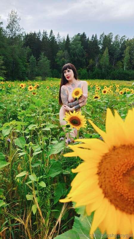 🌻🍒