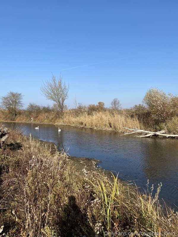 cayenne_klein_ image #21