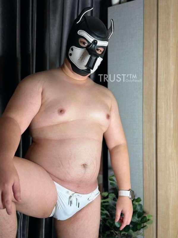 🐶🐶🐶